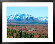 Road Through Park, Autumn, Denali National Park, Alaska, Usa by Terry Eggers Limited Edition Print
