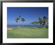 Denarau Golf Course, Danarau, Viti Levu, Fiji by Neil Farrin Limited Edition Print