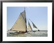 Mariquita Under Sail, Solent Race, British Classic Yacht Club Regatta, Cowes Classic Week by Rick Tomlinson Limited Edition Print