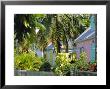 Hope Town, 200 Year Old Settlement On Elbow Cay, Abaco Islands, Bahamas, Caribbean, West Indies by Nedra Westwater Limited Edition Print