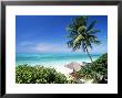 View Through Palm Trees Towards Beach And Indian Ocean, Jambiani, Island Of Zanzibar, Tanzania by Lee Frost Limited Edition Print