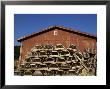 Lobster Traps, Cape Breton, Canada, North America by Alison Wright Limited Edition Pricing Art Print