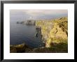 Cliffs Of Moher, County Clare, Munster, Republic Of Ireland (Eire), Europe by Gary Cook Limited Edition Print