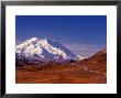 Mt. Denali From Stony Hill In Fall, Mt. Mckinley, Alaska, Usa by Charles Sleicher Limited Edition Print