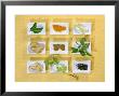 Asian Herbs And Spices by Christiane Krüger Limited Edition Pricing Art Print