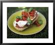 Bruschetta With Cherry Tomatoes And Mozzarella In A Meadow by David Loftus Limited Edition Pricing Art Print