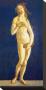 Venus by Sandro Botticelli Limited Edition Print