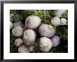 Bunch Of Turnips For Sale At A Road-Side Market by Todd Gipstein Limited Edition Print