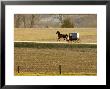 Amish Horse And Buggy, Pennsylvania by Tim Laman Limited Edition Print
