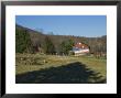 American Flag Painted On The Barn Of A Sheep Farm by Todd Gipstein Limited Edition Print