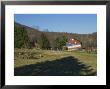 American Flag Painted On The Barn Of A Sheep Farm by Todd Gipstein Limited Edition Pricing Art Print