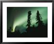 Red Northern Lights, Or Aurora Borealis, Illuminate The Night Sky by Rich Reid Limited Edition Print