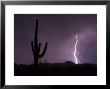 Single Lightning Bolt Strikes In The Desert During Monsoon Season, Arizona by Mike Theiss Limited Edition Print