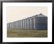 Line Of Storage Bins For Corn, Unidentified Section Of The Mid-West by John Zimmerman Limited Edition Print