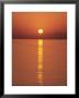 Sunrise Over The Mediterranean Sea, Puerto Pollensa, Mallorca (Majorca), Balearic Islands, Spain by Ruth Tomlinson Limited Edition Pricing Art Print