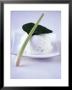 Coconut & Lime Ice Cream With Lemon Grass & Kafir Lime Leaf by Jã¶Rn Rynio Limited Edition Print
