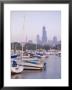 Skyline Including Sears Tower, Chicago, Illinois by Alan Copson Limited Edition Print
