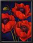 Poppies by Will Rafuse Limited Edition Print