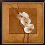 Golden Orchid I by Lee Carlson Limited Edition Print