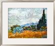 Cypress Trees by Vincent Van Gogh Limited Edition Print