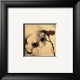 Sepia Dogwoods Ii by Heather Johnston Limited Edition Pricing Art Print