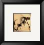 Sepia Dogwoods Ii by Heather Johnston Limited Edition Print