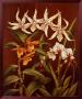 Orchid Trio I by Rodolfo Jimenez Limited Edition Pricing Art Print