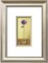 Anemone by Judy Mandolf Limited Edition Pricing Art Print
