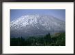 Mount Saint Helens Viewed From The South Side Of The Mountain by Michael Klesius Limited Edition Pricing Art Print