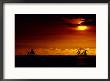 Sailboats Silhouetted On The Pacific Ocean At Twilight by Robert Madden Limited Edition Print