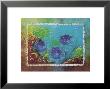 Yellowtail Damselfish by Sue Duda Limited Edition Pricing Art Print