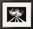 Spoons by Mike Feeley Limited Edition Print