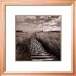 Dune Fence by Michael Kahn Limited Edition Pricing Art Print