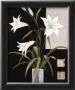 Lilies In Waiting by Jennifer Hammond Limited Edition Print