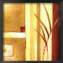 Decorative Grasses Ii by Ursula Salemink-Roos Limited Edition Print