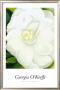 White Camelia by Georgia O'keeffe Limited Edition Print