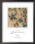 Romantic Profusion Ii by Elizabeth Jardine Limited Edition Print