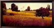 Golden Fields by James Wiens Limited Edition Print