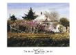 Rural Roses by Thomas William Jones Limited Edition Print