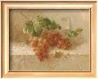 Merlot Grapes by Danhui Nai Limited Edition Pricing Art Print