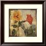 Flamboyant Hibiscus I by Silvia Vassileva Limited Edition Print