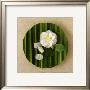 Flower Tray by Cora Buttenbender Limited Edition Print