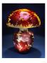 Emile Galle Pricing Limited Edition Prints