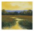 Yellow Sky Stream by Lois Gold Limited Edition Print