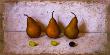 Pears And Grapes by Tania Darashkevich Limited Edition Print