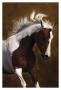 Bella Iv by Robert Dawson Limited Edition Print