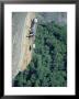Rock Climbing, Yosemite National Park, Ca by Greg Epperson Limited Edition Print
