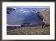Woman Trail Running, Mendocino, California by Tom Stillo Limited Edition Pricing Art Print