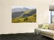View To Serralunga D' Alba, Piedmont, Italy by Peter Adams Limited Edition Print