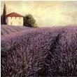 Lavender Hills Detail by James Wiens Limited Edition Print